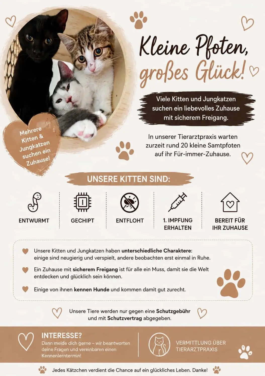 Drei Kätzchen schauen aus einem runden Korb, daneben Text zu Kittenvermittlung mit Symbolen für entwurmt, gechippt, entfloht, erste Impfung erhalten und bereit für Zuhause.